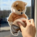 Bumper Pinch Pup Shiba